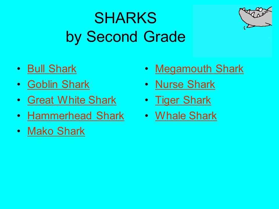 SHARKS by Second Grade Bull Shark Goblin Shark Great White Shark