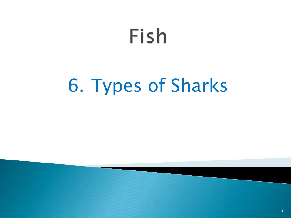 Fish 6. Types of Sharks