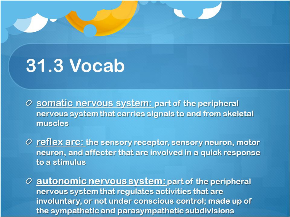 31.3 Vocab somatic nervous system: part of the peripheral nervous system that carries signals to and from skeletal muscles.