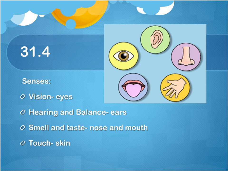 31.4 Senses: Vision- eyes Hearing and Balance- ears