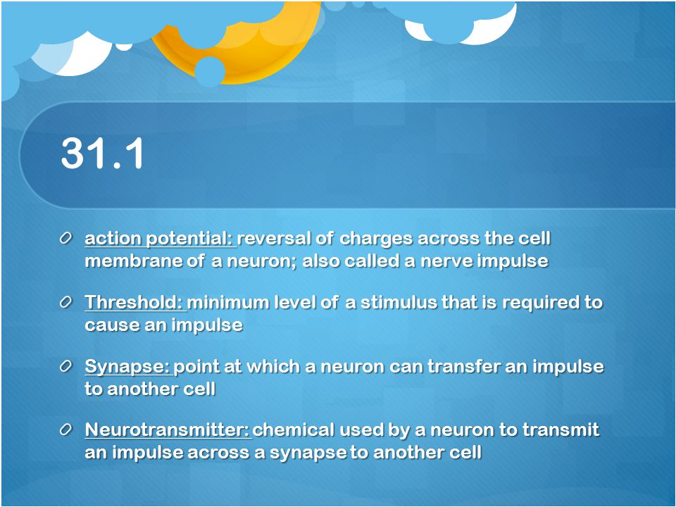 31.1 action potential: reversal of charges across the cell membrane of a neuron; also called a nerve impulse.