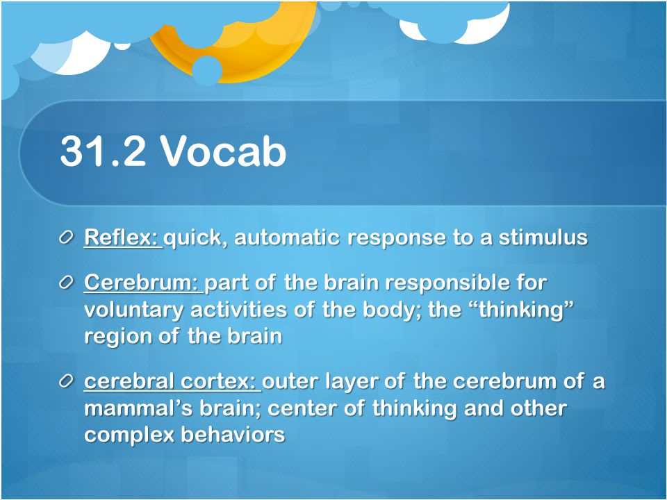 31.2 Vocab Reflex: quick, automatic response to a stimulus