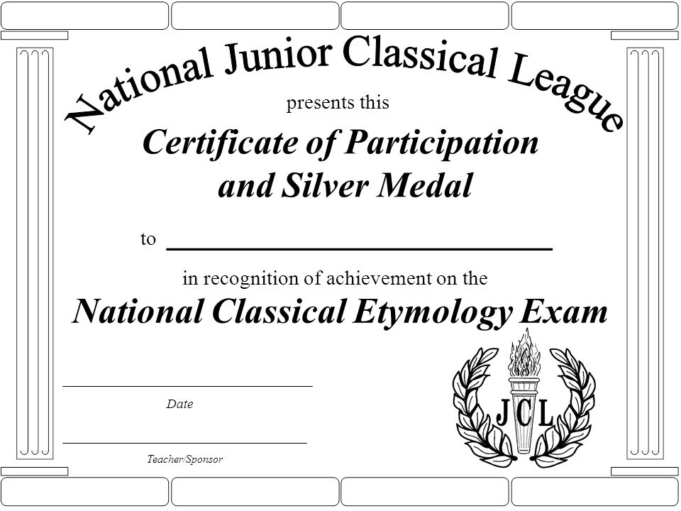 Certificate of Participation and Silver Medal