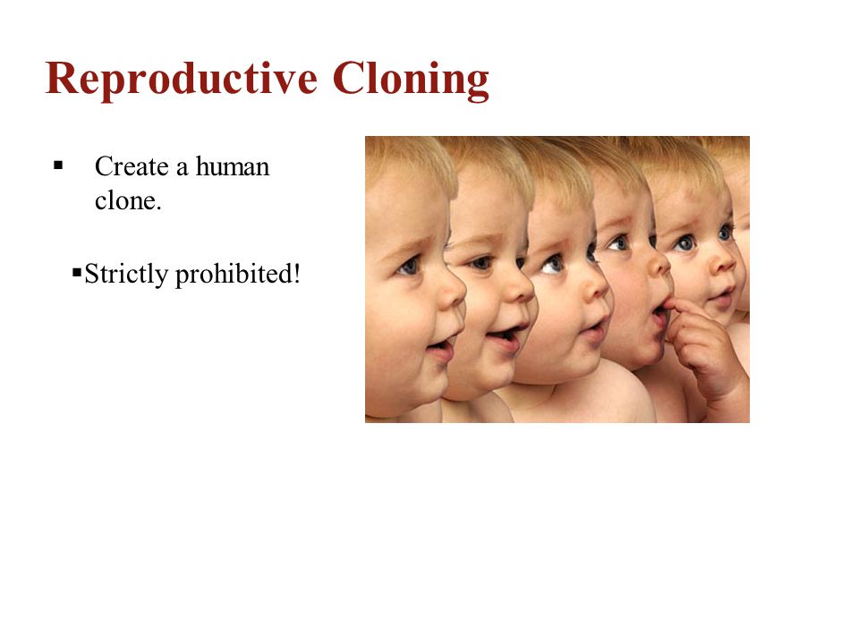 Reproductive Cloning Create a human clone. Strictly prohibited!