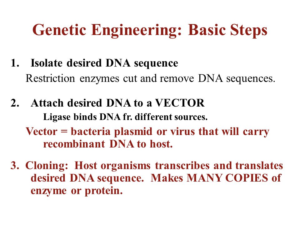 Genetic Engineering: Basic Steps
