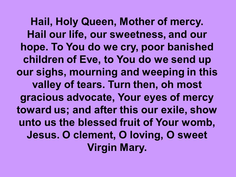 Hail, Holy Queen, Mother of mercy.