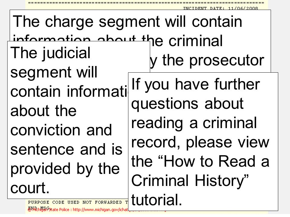 Criminal history information will be broken down into three segments: