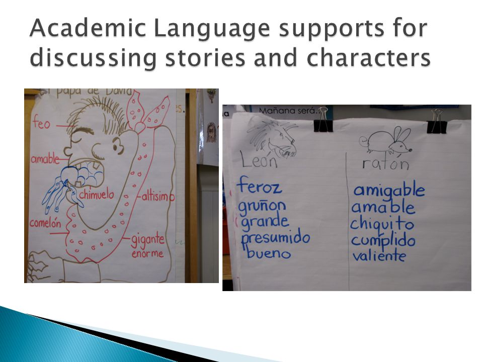 Academic Language supports for discussing stories and characters