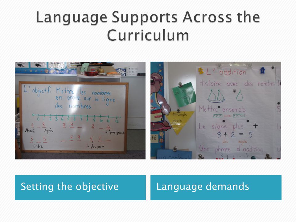 Language Supports Across the Curriculum