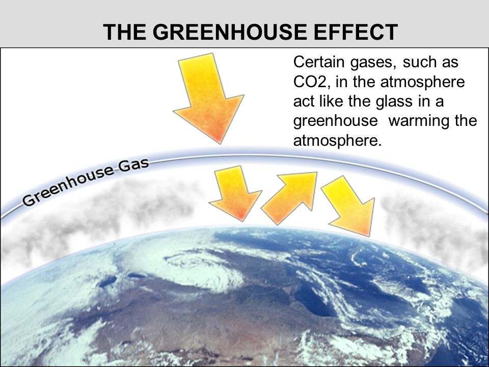 THE GREENHOUSE EFFECT Certain gases, such as CO2, in the atmosphere act like the glass in a greenhouse warming the atmosphere.