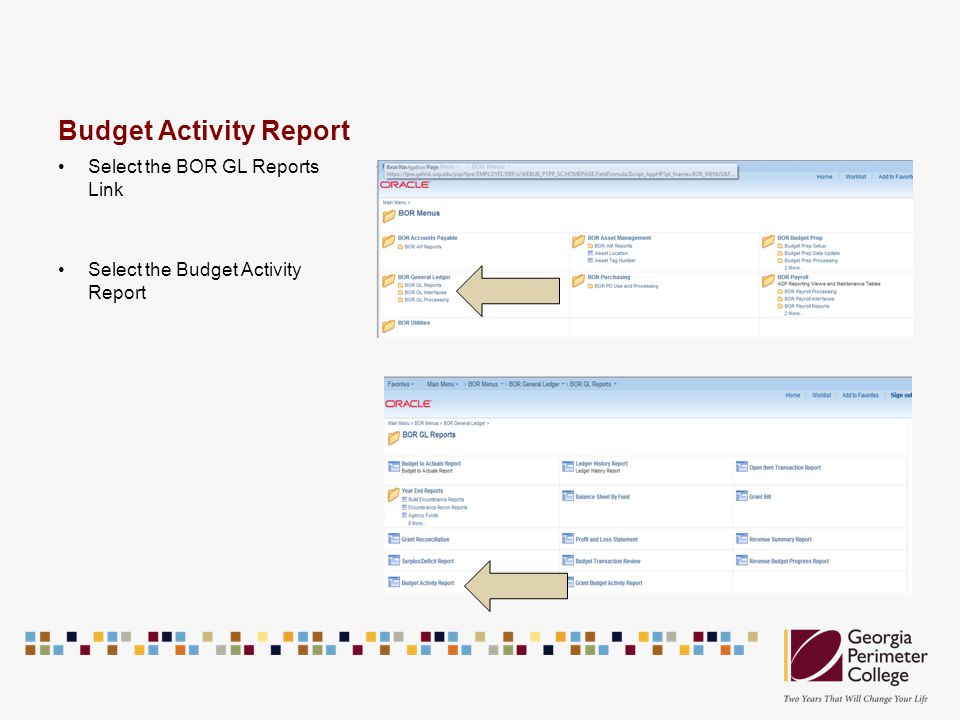 Budget Activity Report