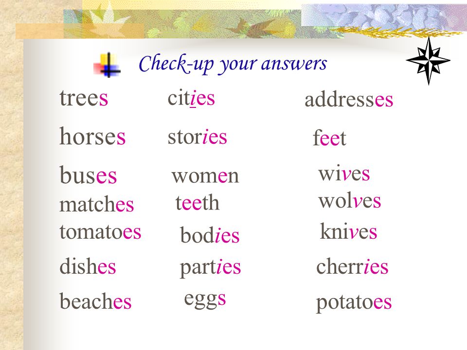 trees horses buses Check-up your answers cities addresses stories feet