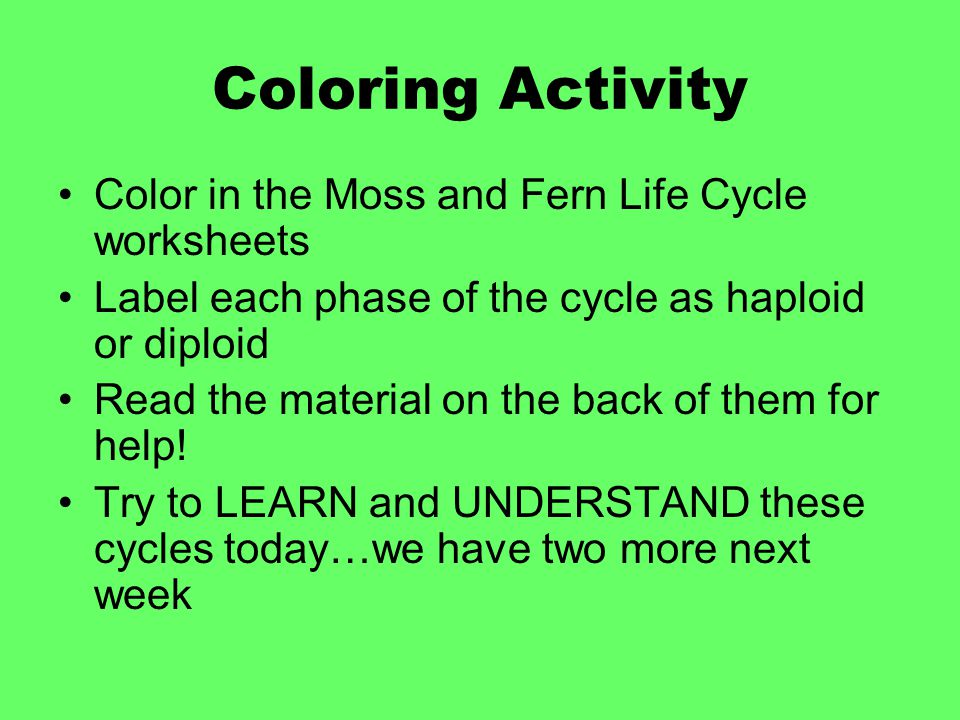 Coloring Activity Color in the Moss and Fern Life Cycle worksheets