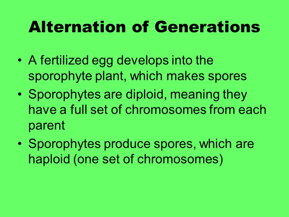 Alternation of Generations
