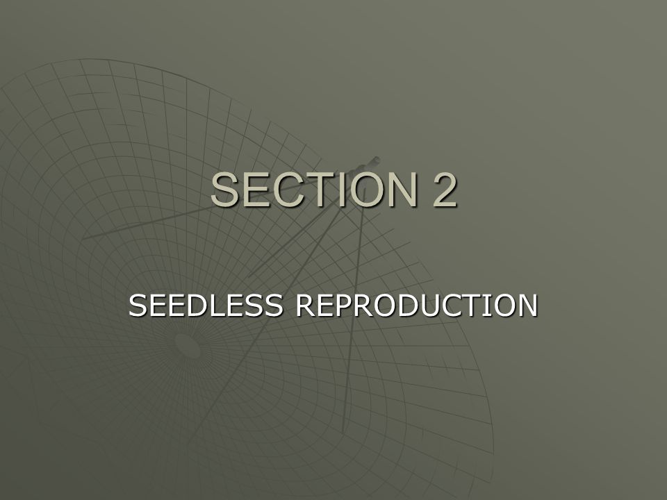 SEEDLESS REPRODUCTION
