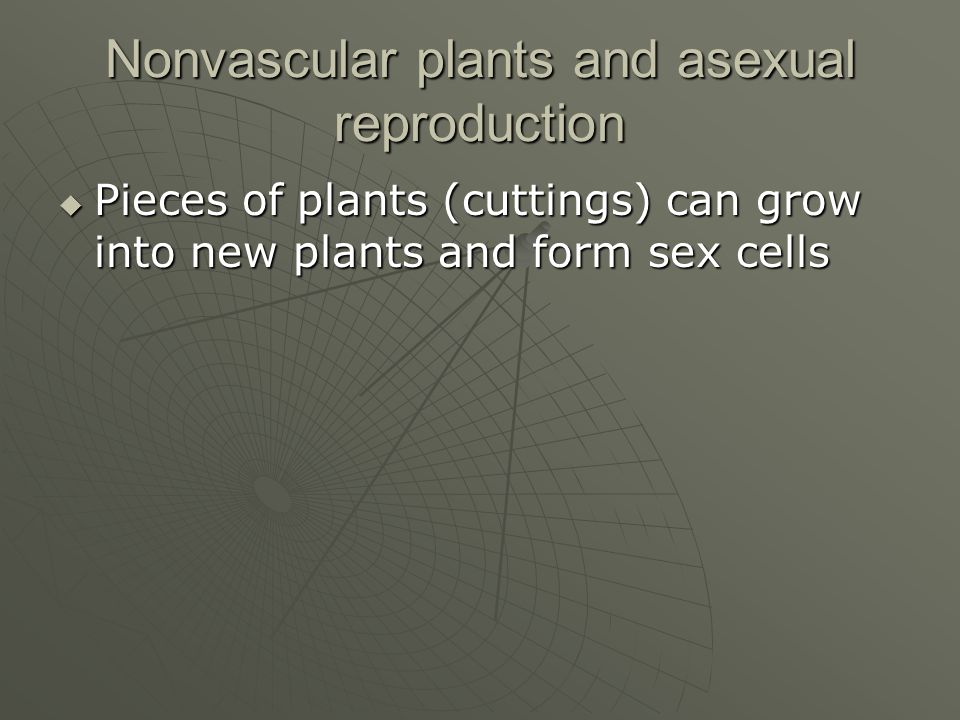 Nonvascular plants and asexual reproduction