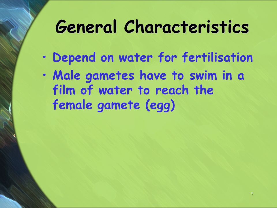 General Characteristics