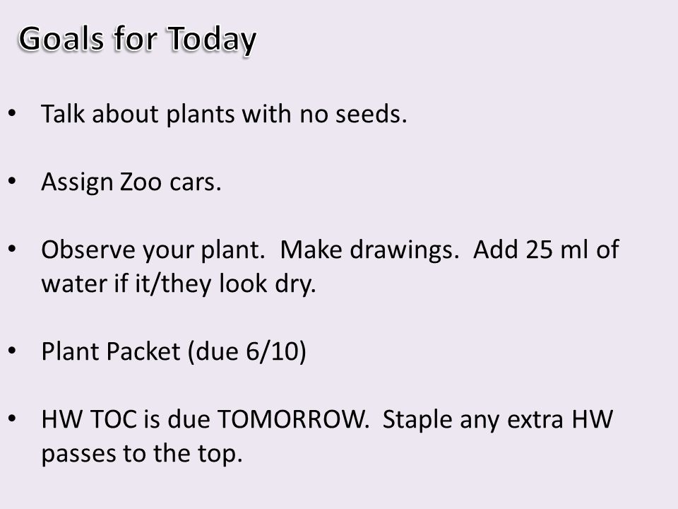 Goals for Today Talk about plants with no seeds. Assign Zoo cars.