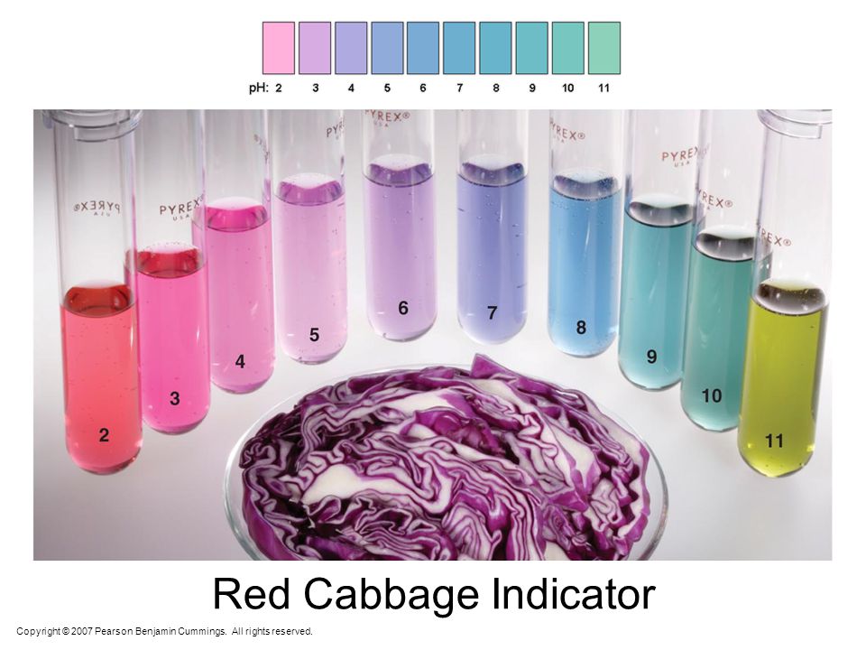 Red Cabbage Indicator Copyright © 2007 Pearson Benjamin Cummings. All rights reserved. 11