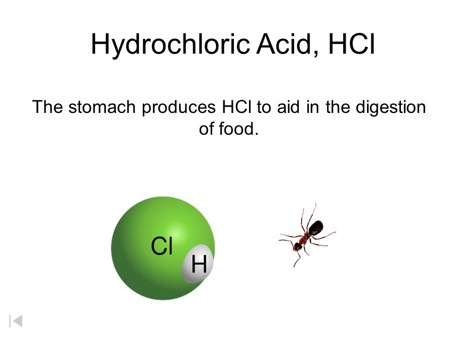 The stomach produces HCl to aid in the digestion of food.