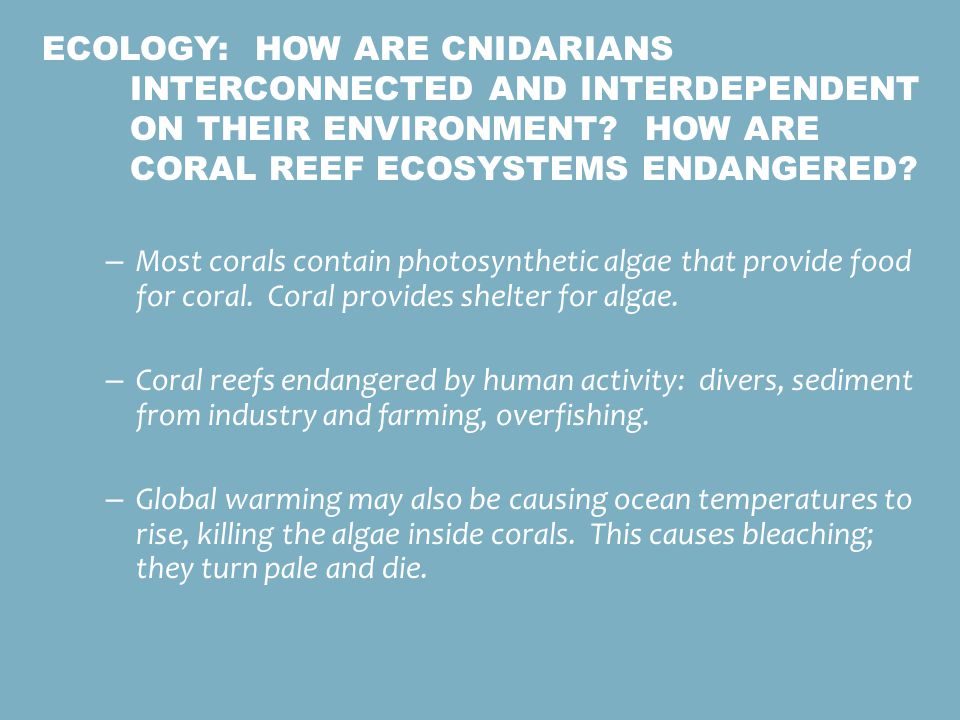 Ecology: How are cnidarians interconnected and interdependent on their environment How are coral reef ecosystems endangered