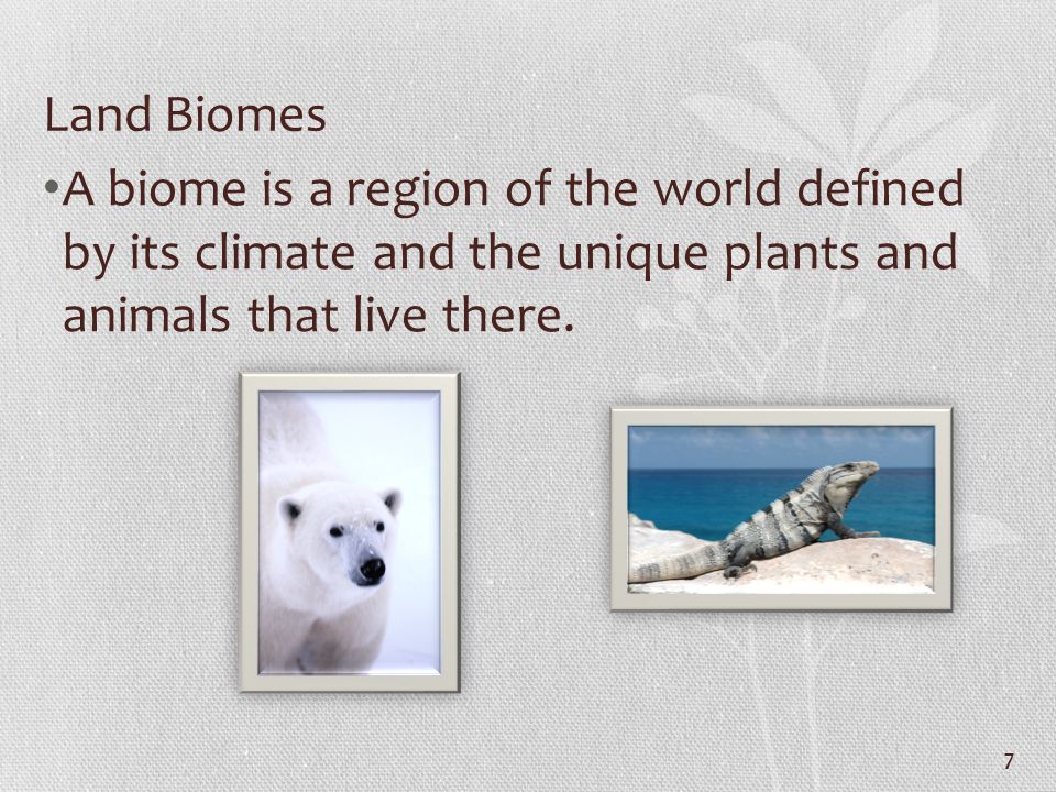 Land Biomes A biome is a region of the world defined by its climate and the unique plants and animals that live there.