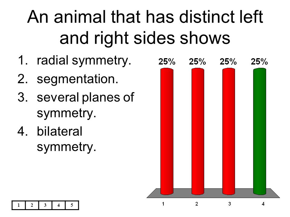 An animal that has distinct left and right sides shows