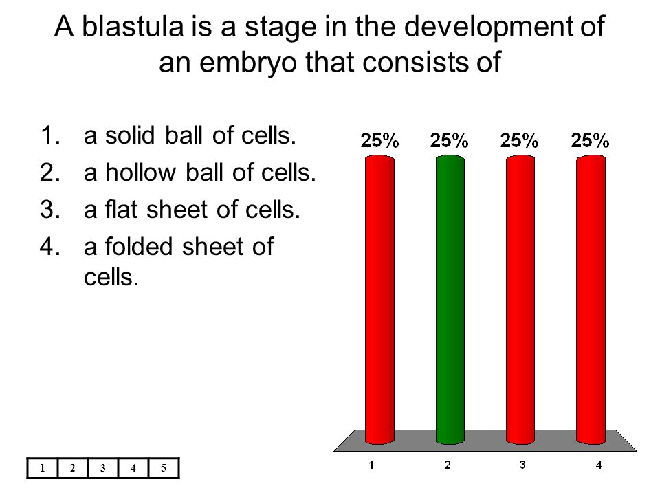 A blastula is a stage in the development of an embryo that consists of