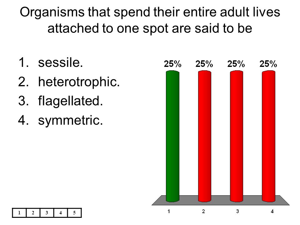 Organisms that spend their entire adult lives attached to one spot are said to be