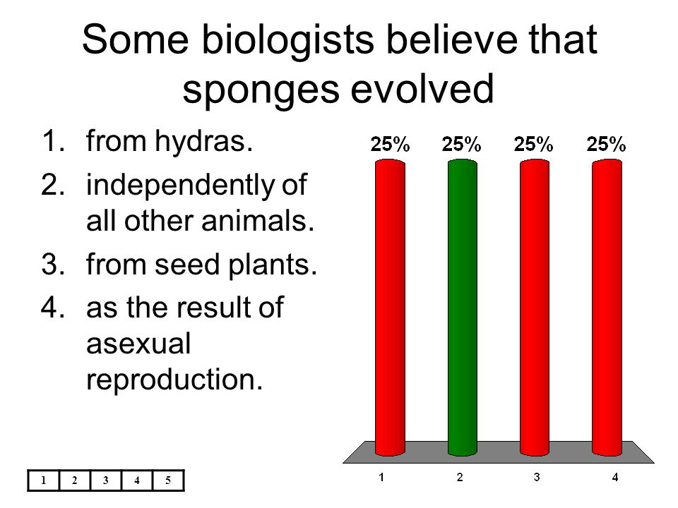Some biologists believe that sponges evolved