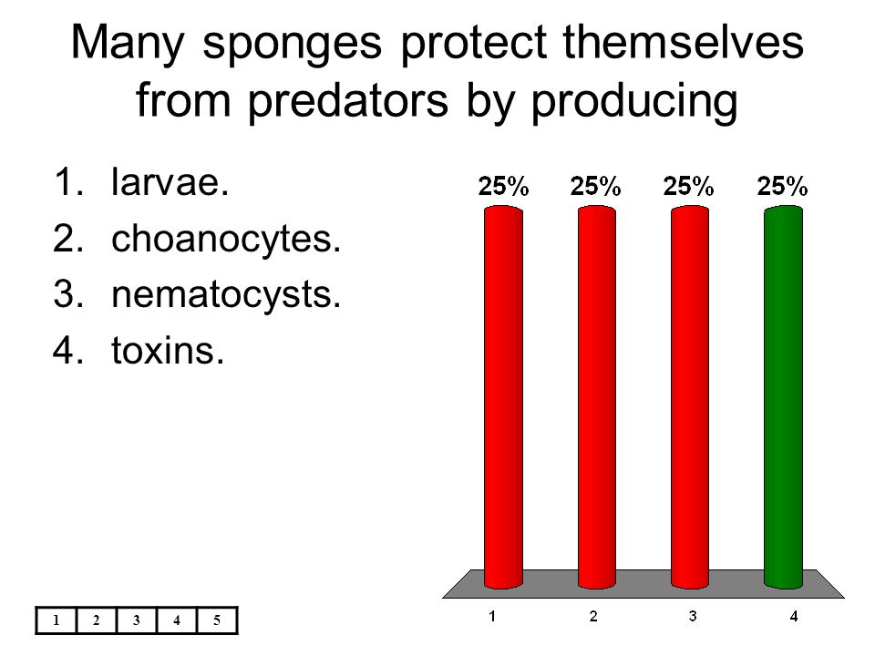 Many sponges protect themselves from predators by producing