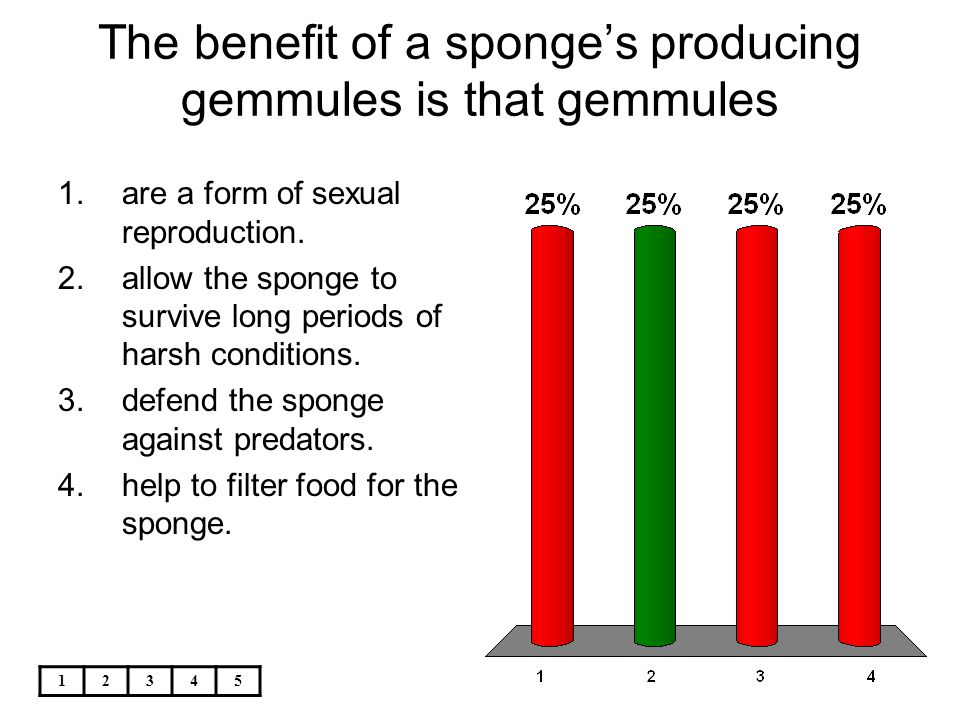The benefit of a sponge’s producing gemmules is that gemmules
