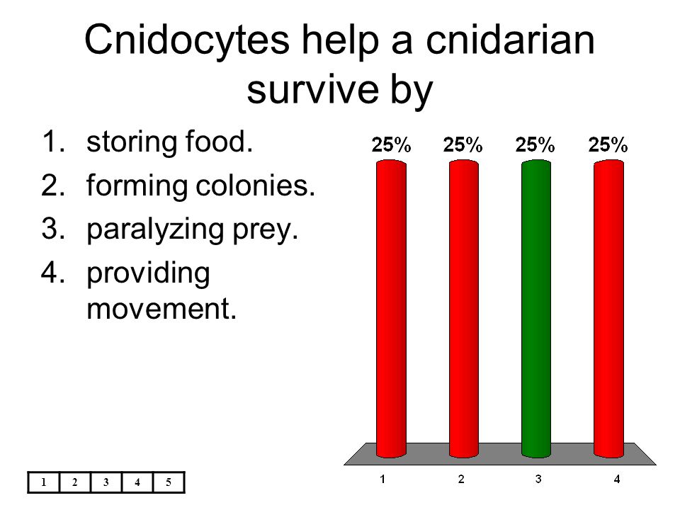 Cnidocytes help a cnidarian survive by