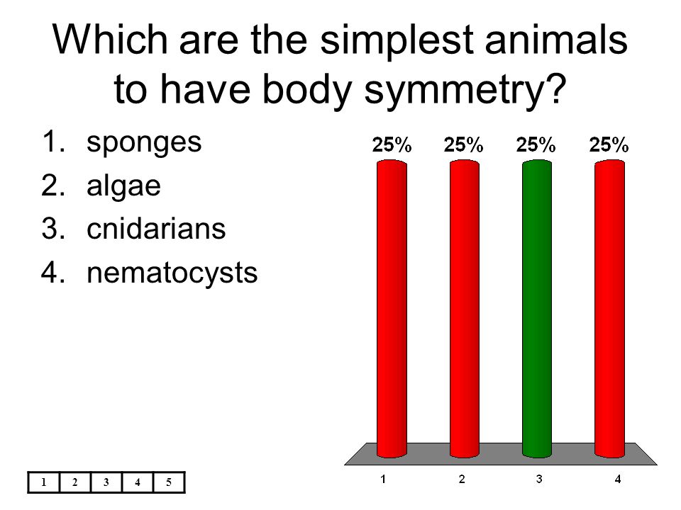 Which are the simplest animals to have body symmetry