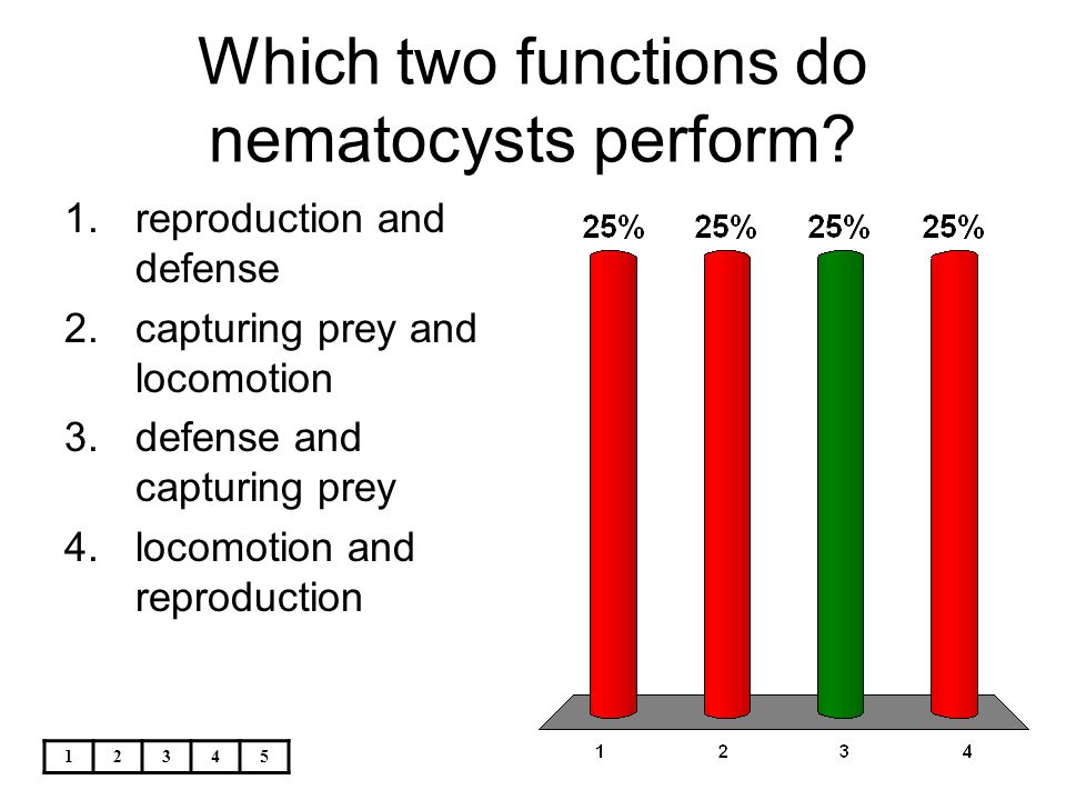 Which two functions do nematocysts perform