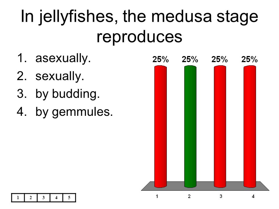 In jellyfishes, the medusa stage reproduces