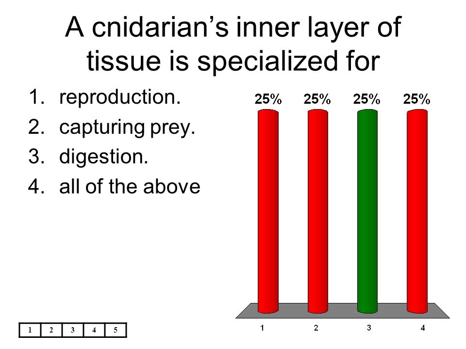 A cnidarian’s inner layer of tissue is specialized for