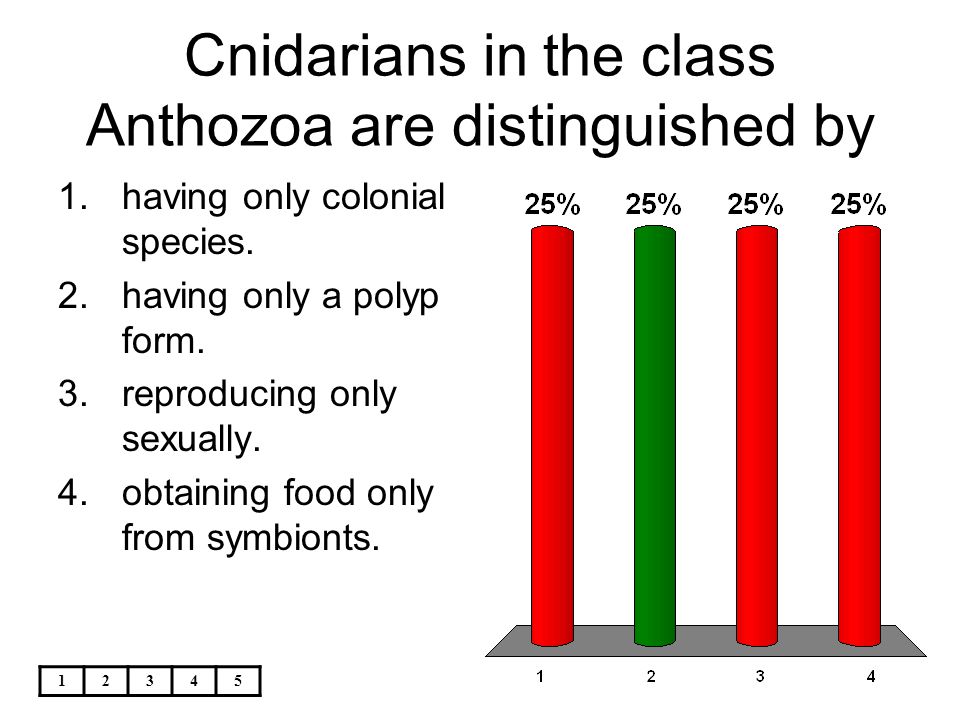 Cnidarians in the class Anthozoa are distinguished by