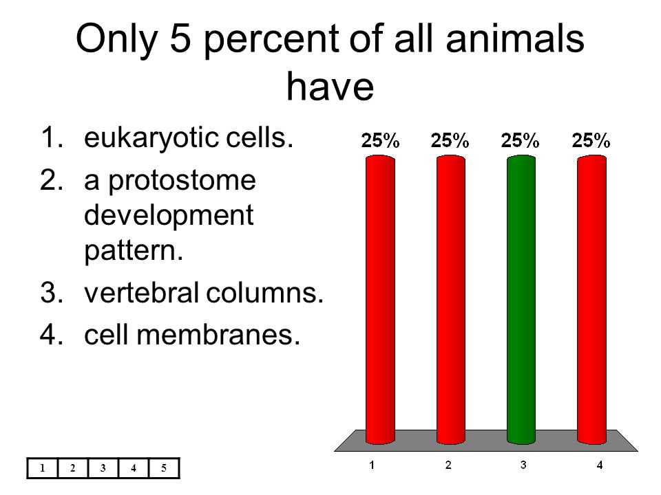 Only 5 percent of all animals have