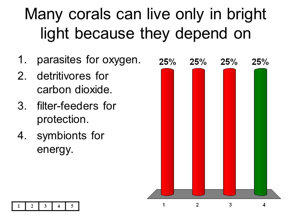 Many corals can live only in bright light because they depend on