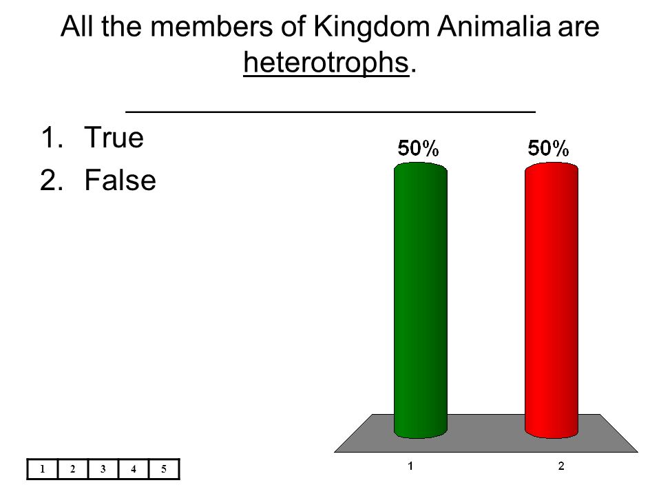 All the members of Kingdom Animalia are heterotrophs