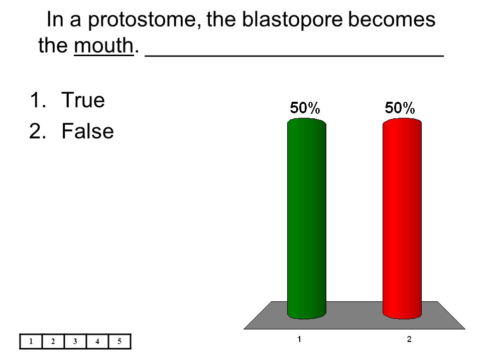 In a protostome, the blastopore becomes the mouth