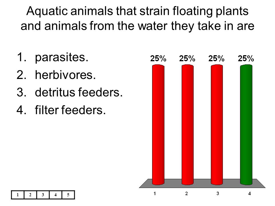 Aquatic animals that strain floating plants and animals from the water they take in are