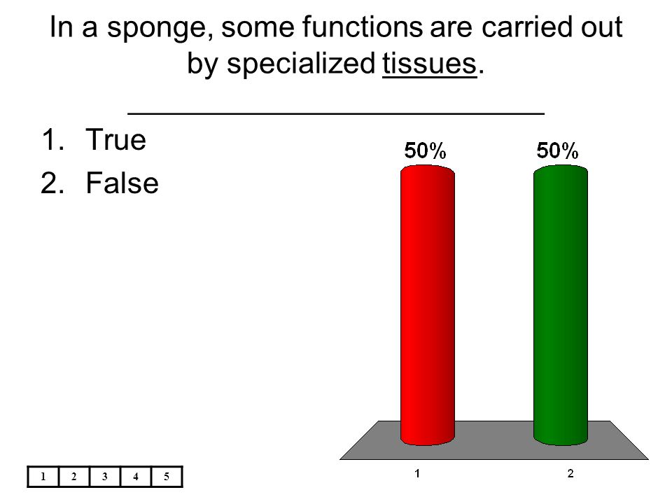 In a sponge, some functions are carried out by specialized tissues
