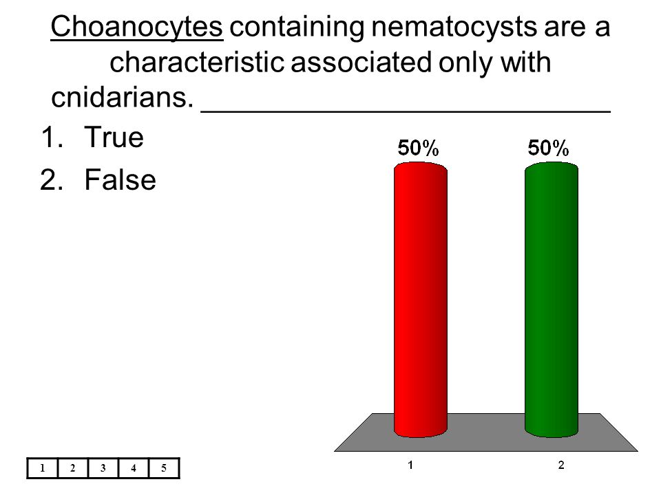 Choanocytes containing nematocysts are a characteristic associated only with cnidarians. _________________________