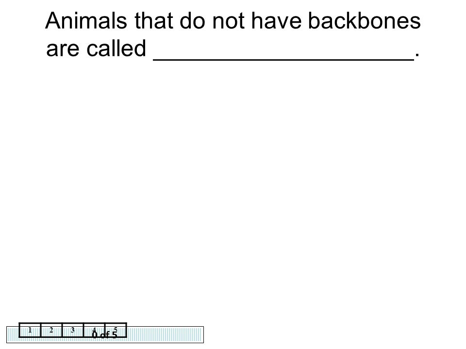 Animals that do not have backbones are called ____________________.