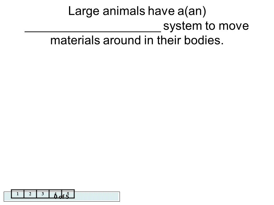 Large animals have a(an) ____________________ system to move materials around in their bodies.