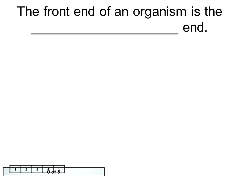 The front end of an organism is the ____________________ end.