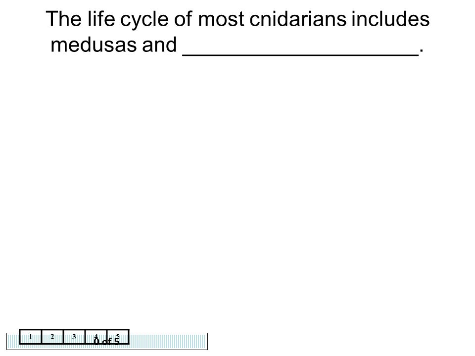 The life cycle of most cnidarians includes medusas and ____________________.