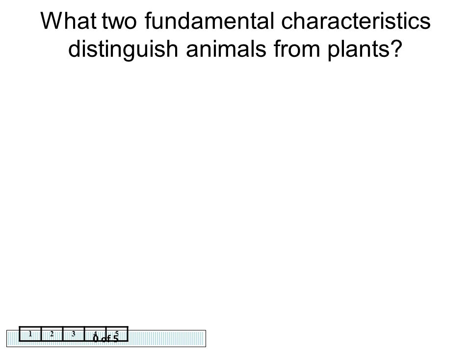 What two fundamental characteristics distinguish animals from plants